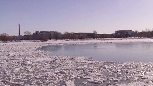 Одинокий лебедь на льду смотреть онлайн