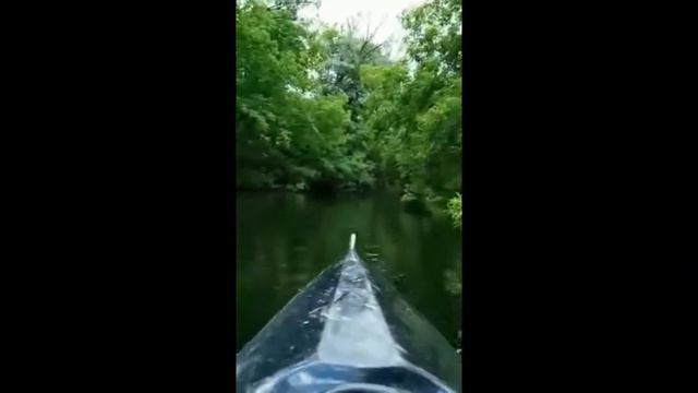 Сплав по р.Псёл, Полтавская обл, 60 км по воде, 3 дня смотреть онлайн