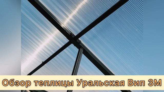 УРАЛЬСКАЯ ВИП 3М. ОБЗОР.