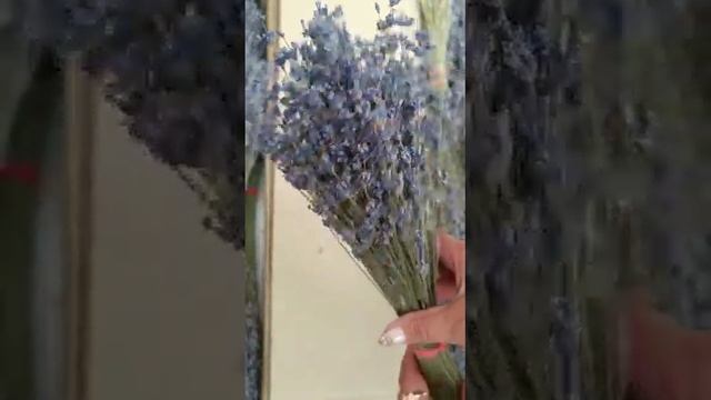 VID_20230226_200525_316.mp4