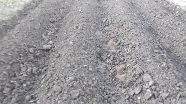 Ежи мотоблока и трактора, сравнение работы! смотреть онлайн