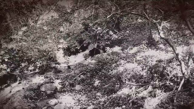 Ялта, Кореиз, речка Узень-Чешме, 17 мая 2015 г. смотреть онлайн