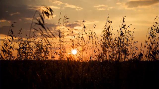 Мощная мантра, привлекающая Счастье и Успех смотреть онлайн