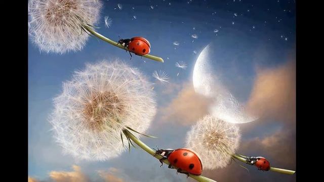 Николай Левитов песня "Спать". Автор музыки и исполнитель Олег Ветошев. смотреть онлайн