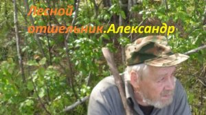 Лесная жизнь. В глухом лесу отшельником.