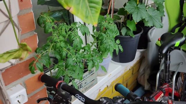 Строительные Чудеса