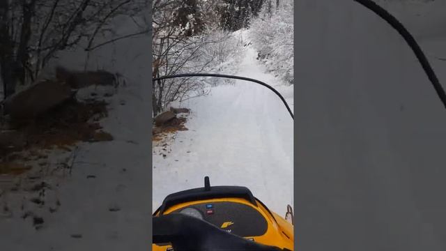 Skidoo alpine 3 смотреть онлайн