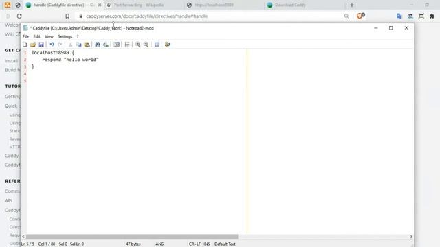 Port Forward via Ngrok & Fix SSL issue | Caddy Web server смотреть онлайн