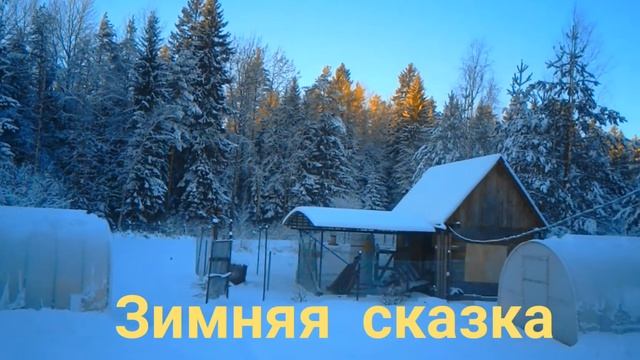 ЗИМНЯЯ СКАЗКА смотреть онлайн