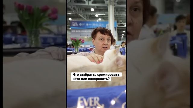 Кремировать котика или похоронить? / Здесь Настоящие Люди смотреть онлайн