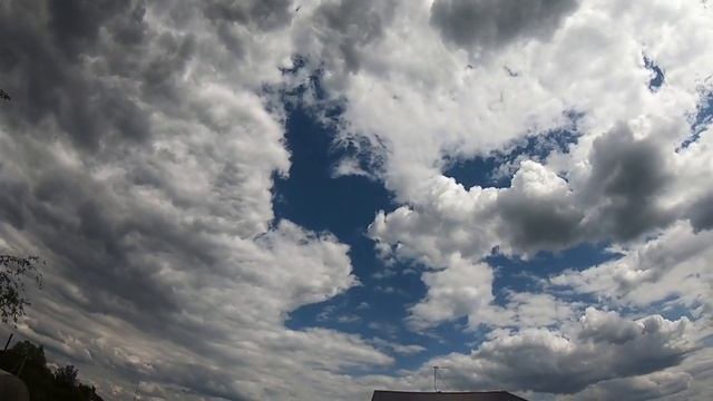 Выращивание шиповника как подвоя (для прививки роз) смотреть онлайн