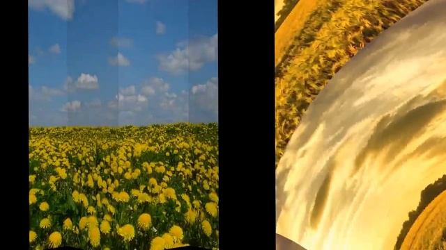 Как хорошо на свете жить авторская песня стихи исп видео Татьяна Талызина муз Виктор Воронцов смотреть онлайн