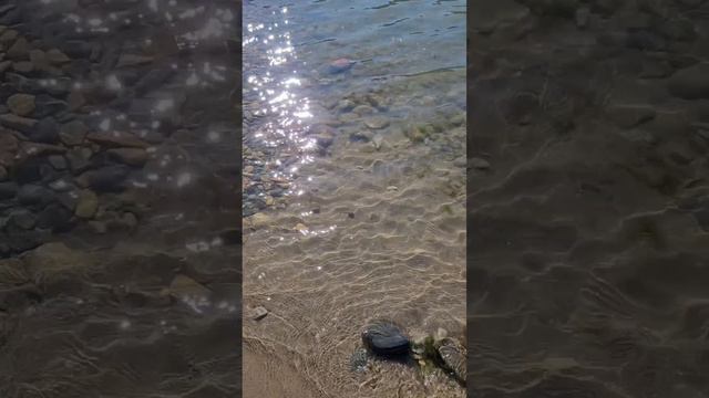 Архипо-Осиповка 6 мая 2024 года ⛅ Невероятная красота реки Вулан 💦 Видео: Виктория Попова смотреть онлайн