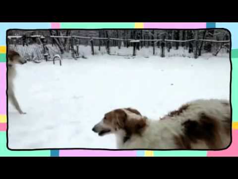 ........ :))))...... (Created with @Magisto) смотреть онлайн