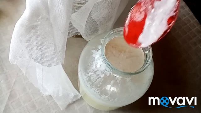 Готовлю творог из козьего молока??? смотреть онлайн