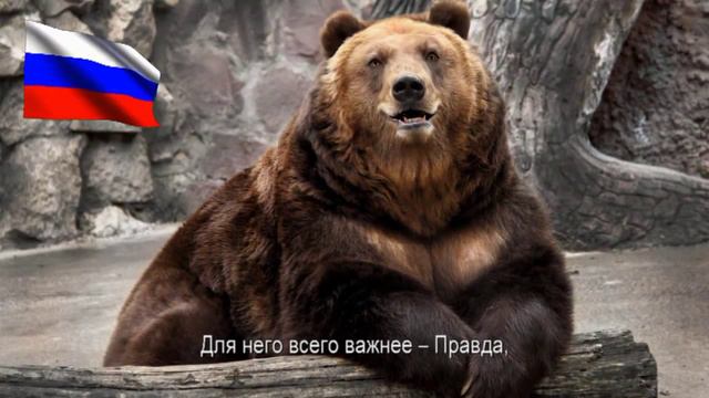 Русский медведь смотреть онлайн