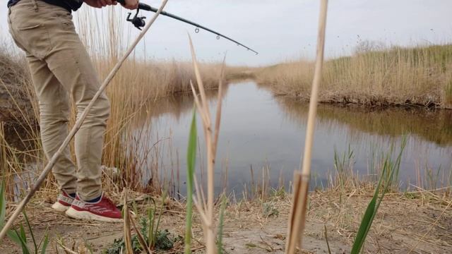 Рыбалка супер!!!Сын ловит рыбу. смотреть онлайн