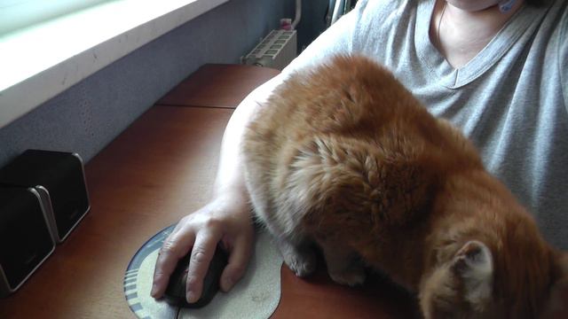 ... и повсюду мы вдвоём ... смотреть онлайн