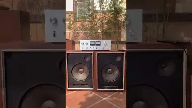 Loa pioneer cs-53. Bass 30 lh 0962509780 смотреть онлайн