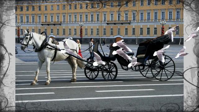 #город #Санкт_Петербург смотреть онлайн