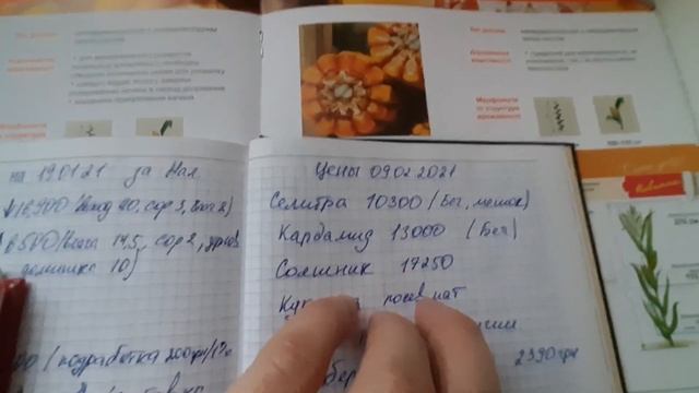 Цены на удобрения продолжают дорожать, демо поля и посевной материал на 2021 смотреть онлайн