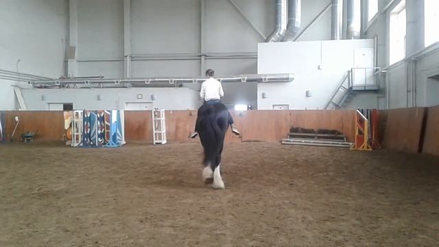 Верхом на шайра смотреть онлайн