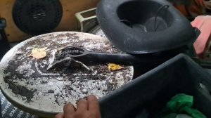 Поехал на разведку