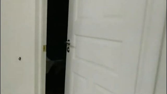 Внутренняя отделка 1го этажа смотреть онлайн