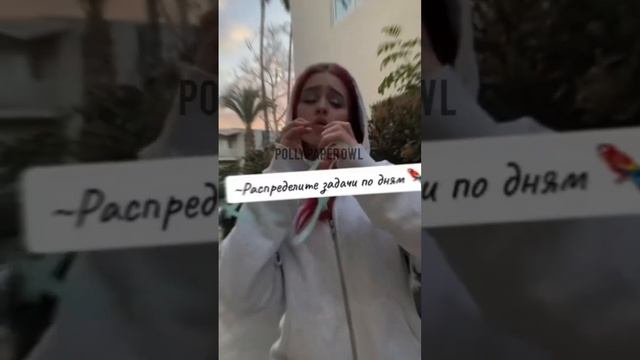 Учимся распределять время правильно#рек #врек #реки смотреть онлайн