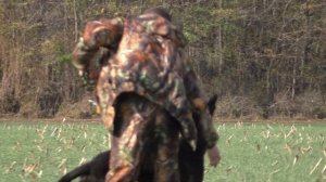 Охота с борзыми. Южно-русская степная борзая