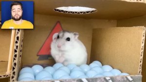 ХОМЯК против ВСЕХ МОНСТРОВ Тревора Хендерсона В РЕАЛЬНОЙ ЖИЗНИ?? ЛАБИРИНТ МОНСТРЫ В РЕАЛЬНОЙ ЖИЗНИ?