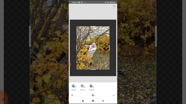 Урок 2 Редактирование фото в приложении Snapseed смотреть онлайн