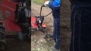 Мотоблок Авангард Кадви