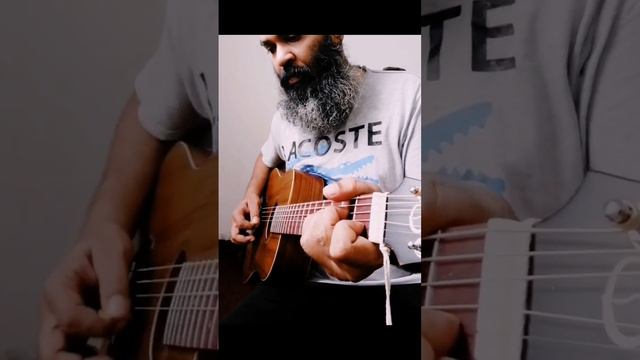 Emme's Mini Acoustic Guitar, Sri Lankan Made! #guitar смотреть онлайн