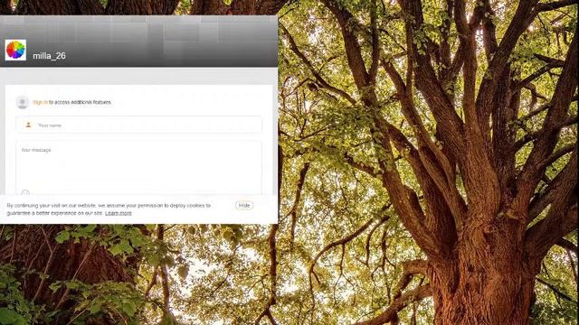 знакомство общение ботик работает чай сок какао ромашка здоровье привет смотреть онлайн