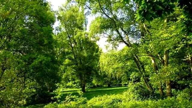 Стихи для Души Красота весенняя смотреть онлайн