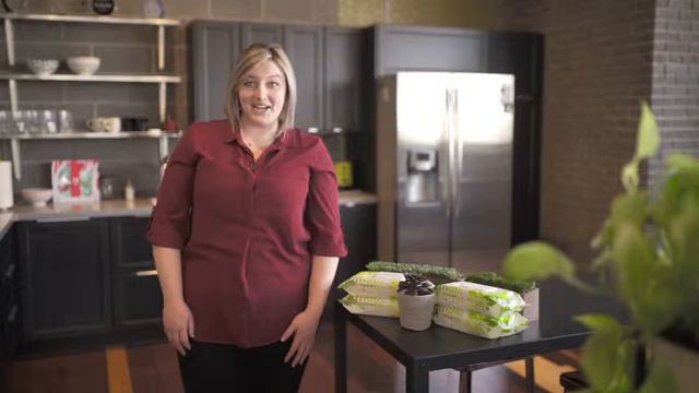 Earth Rated Dog Wipes USDA-Certified 99 Percent Biobased, 100 Hypoallergenic Pet Wipes for Dogs смотреть онлайн