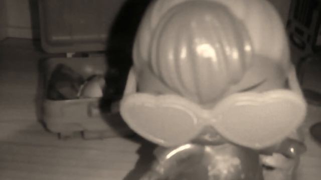 Мила села на шпагат? Что они уехали на море где водяться акулы!!!......... смотреть онлайн