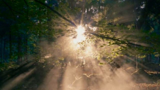 Gleydson evANGELista - My Hope (Sebastian Larsson - A New Beginning) смотреть онлайн
