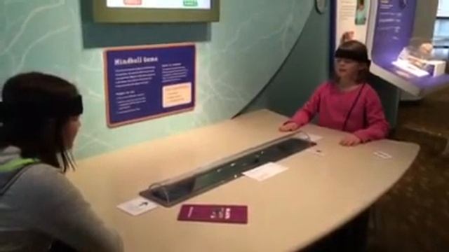 Lauren and Zoe play the mind ball game! смотреть онлайн