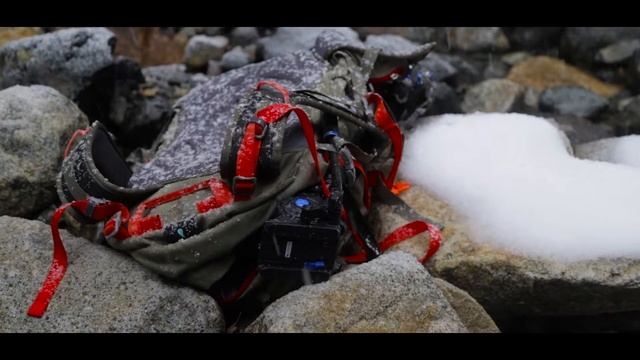 Test Footage - NEW Canon 6D mark ii (1st week) смотреть онлайн