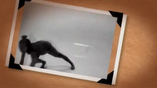 Овощи и фрукты смотреть онлайн