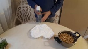 Как прорастить овес