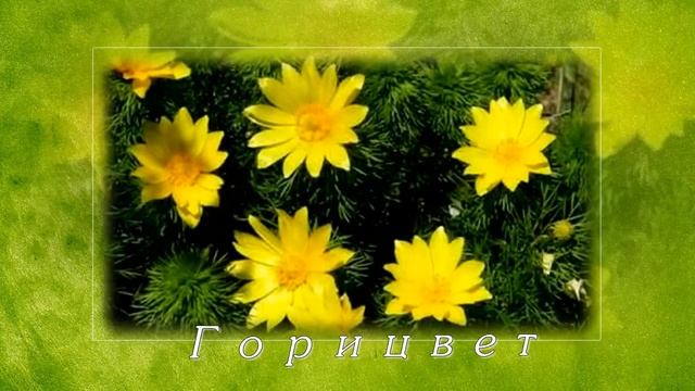 Скоро лето смотреть онлайн