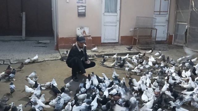 21 февраля 2024 г. смотреть онлайн