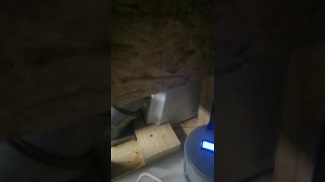 Автоматическая кормушка для кур ч.1 смотреть онлайн