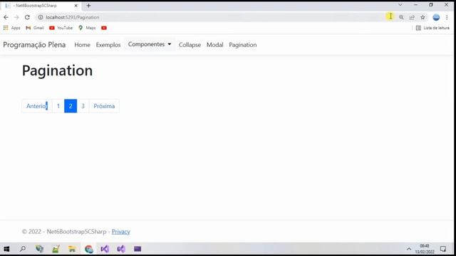 Bootstrap 5.1 (Pagination) no ASP.Net MVC .Net 6. Visual Studio 2022 Vídeo 15 смотреть онлайн