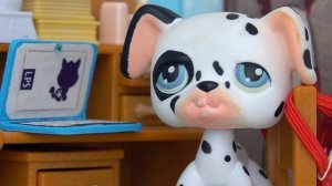 LPS : СКОРО НАС ЖДЁТ ЭТО ... / LPS жизненно школа