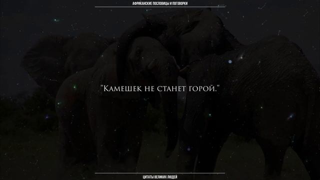МУДРОСТЬ АФРИКИ. Пословицы и поговорки народов Африки. смотреть онлайн