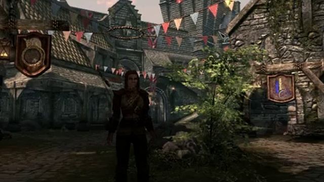 Как изменить Внешний вид и расу в компьютерной игре The Elder Scrolls V Skyrim. смотреть онлайн